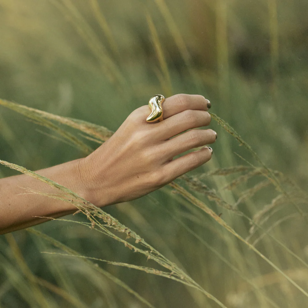 Anel Anna Clara Anna Prata